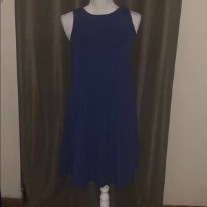 Blue swing dress- petite Medium